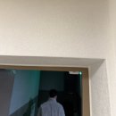 세븐일레븐부천롯데2호점 | 준신축아파트 25평 반셀프 인테리어 공사 [신축도배이반장 2호점] 내돈내산 솔직 후기