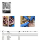 웰니스동물병원(수완점) 이미지