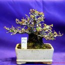 청수5로 이미지