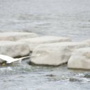 신천대로 이미지