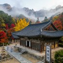 금성여관 | 제22편. 수덕사(修德寺) — 700년 대웅전이 살아있는 절