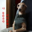 다 - 중랑구 | 다
