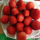 승우카센타 이미지