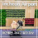 공항 동물병원 | 애견동반 해외여행 귀국 시 인천공항 동물검역 절차 총정리