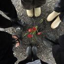 행복나누기 | Chapter2. 제주도 웨딩스냅 : 라이즈무드, 행복했던 후기 -