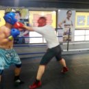 송강 홍복싱 이미지