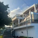 신서귀로 | 제주 서귀포 워터월드 근처 고사리육개장 맛집 돈수육 내돈내산 후기