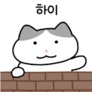 초이로움 이미지