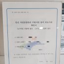 유한회사  제주사랑여행사 | [25년 11, 12월] 연말 몰아보기