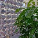 GS25 부산사직점 | 사직야구장앞 경주박가국밥👍WBC 응원⚾️