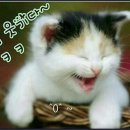 리얼클린 족욕샵 이미지