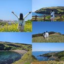 우도고래펜션 | [25년 5월 4박5일 제주도여행 🍊] 4일차 2번 - 우도여행 (산호해수욕장/하고수동/검멀레해변/소머리오름)