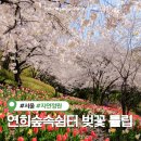 아름다운쉼터 | 2026 연희숲속쉼터 벚꽃 튤립 실시간 개화현황 +가는법, 주차장 정보 (서대문 안산벚꽃길)