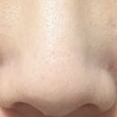 화수육계 이미지