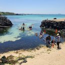 하이엔드 멍 이미지