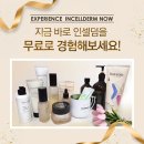 스텔라 인셀덤 네이버블로그