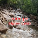 아프레(Apres) 이미지