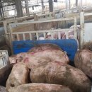 (주)평농 이미지