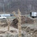 웰빙농장 이미지