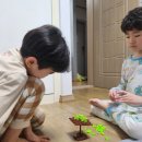 영양-10)영양군 서부리 100-1 이미지