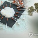 김밥전쟁식당 이미지