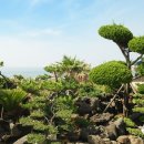 용담펜션 이미지