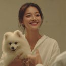 스무해 동물병원 이미지