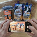 스마일모닝 주식회사 | 도기레이드&amp; 야미레이드 체험후기