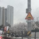 회기2 | W-2) 회기역 ‘벨라루체’ 홀투어 상담 후기