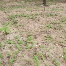 삼봉농원 이미지