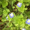 한솔뜰근린공원 이미지