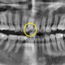 공릉서울치과의원 이미지