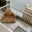 살롱드 베베 이미지