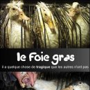 보신촌 | [펌|오마이뉴스] 프아그라, 샷스핀은 괜찮고?