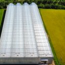 (주)비에스팜 이미지