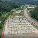 청주시 현도오토캠핑장 이미지