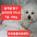 로로동물의료센터 이미지