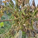 진천농장 이미지