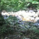 사나래펜션 | [전남/광양 계곡]전남 펜션 추천 | 백운산 사나래 펜션 후기