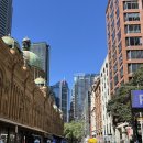 별빛물결시티투어 | DAY3 1003 시드니 주립 미술관, 세인트메리 대성당, 하이드파크, 호주무한투어, 블루마운틴 선셋별빛투어]