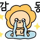 루트231 유치원 & 호텔 이미지