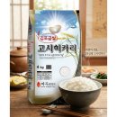 루트