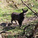 통일상회 이미지