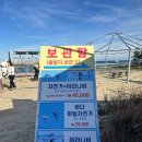 남항진해변 | 남항진해변 아라나비 짚라인 체험 후기