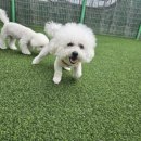 멍스 스쿨 이미지