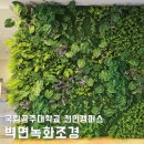 공주대 천안캠퍼스 | 학교 벽면녹화 조경, 국립공주대학교 천안캠퍼스 실내 로비 조화인테리어