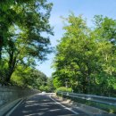 대구도남초등학교 이미지