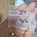 강서성모의원 이미지