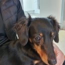 깐돌이PC 이미지