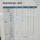 우동물병원 | 케어덴 동물치과병원 스케일링 후기｜같은 병원에 두 번 맡긴 이유